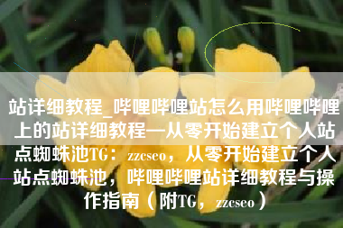 站详细教程_哔哩哔哩站怎么用哔哩哔哩上的站详细教程—从零开始建立个人站点蜘蛛池TG：zzcseo，从零开始建立个人站点蜘蛛池，哔哩哔哩站详细教程与操作指南（附TG，zzcseo）