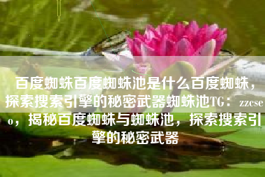 百度蜘蛛百度蜘蛛池是什么百度蜘蛛，探索搜索引擎的秘密武器蜘蛛池TG：zzcseo，揭秘百度蜘蛛与蜘蛛池，探索搜索引擎的秘密武器