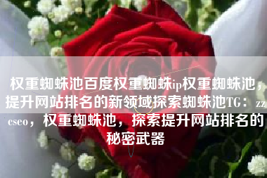 权重蜘蛛池百度权重蜘蛛ip权重蜘蛛池，提升网站排名的新领域探索蜘蛛池TG：zzcseo，权重蜘蛛池，探索提升网站排名的秘密武器