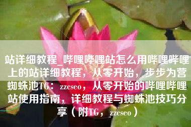 站详细教程_哔哩哔哩站怎么用哔哩哔哩上的站详细教程，从零开始，步步为营蜘蛛池TG：zzcseo，从零开始的哔哩哔哩站使用指南，详细教程与蜘蛛池技巧分享（附TG，zzcseo）