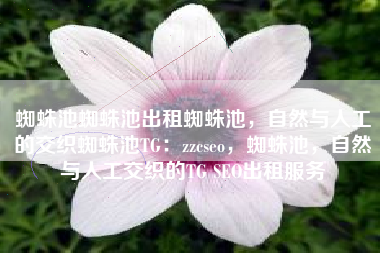蜘蛛池蜘蛛池出租蜘蛛池，自然与人工的交织蜘蛛池TG：zzcseo，蜘蛛池，自然与人工交织的TG SEO出租服务