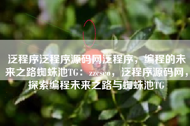 泛程序泛程序源码网泛程序，编程的未来之路蜘蛛池TG：zzcseo，泛程序源码网，探索编程未来之路与蜘蛛池TG