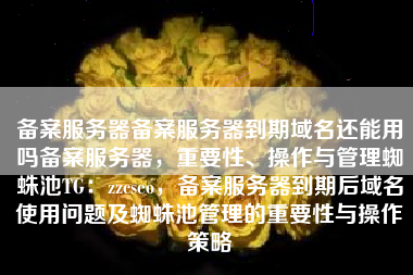 备案服务器备案服务器到期域名还能用吗备案服务器，重要性、操作与管理蜘蛛池TG：zzcseo，备案服务器到期后域名使用问题及蜘蛛池管理的重要性与操作策略