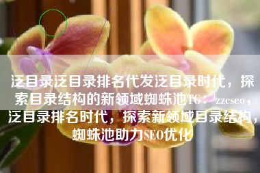 泛目录泛目录排名代发泛目录时代，探索目录结构的新领域蜘蛛池TG：zzcseo，泛目录排名时代，探索新领域目录结构，蜘蛛池助力SEO优化