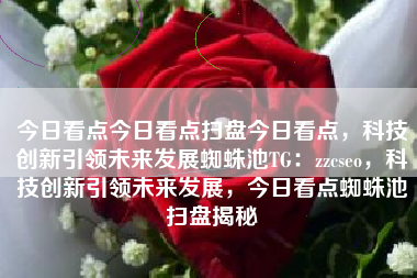 今日看点今日看点扫盘今日看点，科技创新引领未来发展蜘蛛池TG：zzcseo，科技创新引领未来发展，今日看点蜘蛛池扫盘揭秘
