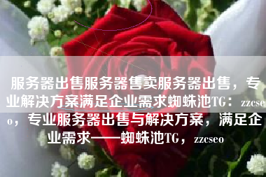 服务器出售服务器售卖服务器出售，专业解决方案满足企业需求蜘蛛池TG：zzcseo，专业服务器出售与解决方案，满足企业需求——蜘蛛池TG，zzcseo