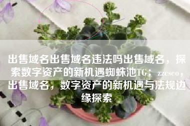 出售域名出售域名违法吗出售域名，探索数字资产的新机遇蜘蛛池TG：zzcseo，出售域名，数字资产的新机遇与法规边缘探索