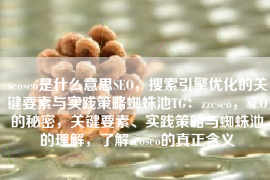 seoseo是什么意思SEO，搜索引擎优化的关键要素与实践策略蜘蛛池TG：zzcseo，SEO的秘密，关键要素、实践策略与蜘蛛池的理解，了解seoseo的真正含义