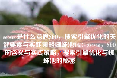 seoseo是什么意思SEO，搜索引擎优化的关键要素与实践策略蜘蛛池TG：zzcseo，SEO的含义与实践策略，搜索引擎优化与蜘蛛池的秘密
