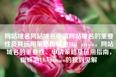 网站域名网站域名申请网站域名的重要性及其运用策略蜘蛛池TG：zzcseo，网站域名的重要性、申请策略及运用指南，蜘蛛池TG与zzcseo的独到见解