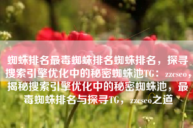 蜘蛛排名最毒蜘蛛排名蜘蛛排名，探寻搜索引擎优化中的秘密蜘蛛池TG：zzcseo，揭秘搜索引擎优化中的秘密蜘蛛池，最毒蜘蛛排名与探寻TG，zzcseo之道