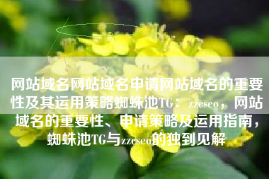 网站域名网站域名申请网站域名的重要性及其运用策略蜘蛛池TG：zzcseo，网站域名的重要性、申请策略及运用指南，蜘蛛池TG与zzcseo的独到见解