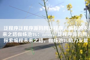 泛程序泛程序源码网泛程序，编程的未来之路蜘蛛池TG：zzcseo，泛程序源码网，探索编程未来之路，蜘蛛池TG助力发展