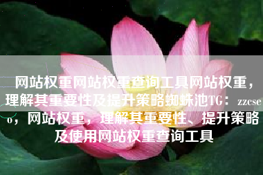 网站权重网站权重查询工具网站权重，理解其重要性及提升策略蜘蛛池TG：zzcseo，网站权重，理解其重要性、提升策略及使用网站权重查询工具