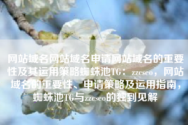 网站域名网站域名申请网站域名的重要性及其运用策略蜘蛛池TG：zzcseo，网站域名的重要性、申请策略及运用指南，蜘蛛池TG与zzcseo的独到见解