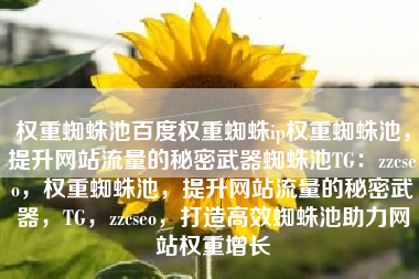 权重蜘蛛池百度权重蜘蛛ip权重蜘蛛池，提升网站流量的秘密武器蜘蛛池TG：zzcseo，权重蜘蛛池，提升网站流量的秘密武器，TG，zzcseo，打造高效蜘蛛池助力网站权重增长