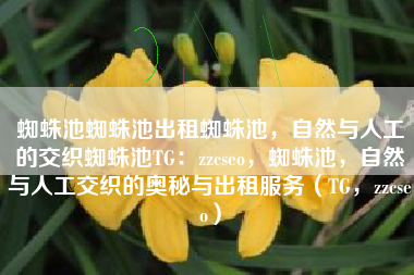 蜘蛛池蜘蛛池出租蜘蛛池，自然与人工的交织蜘蛛池TG：zzcseo，蜘蛛池，自然与人工交织的奥秘与出租服务（TG，zzcseo）