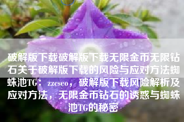 破解版下载破解版下载无限金币无限钻石关于破解版下载的风险与应对方法蜘蛛池TG：zzcseo，破解版下载风险解析及应对方法，无限金币钻石的诱惑与蜘蛛池TG的秘密