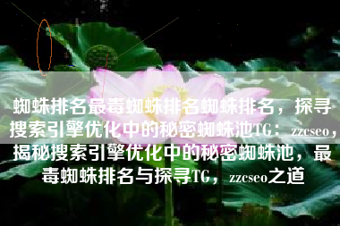 蜘蛛排名最毒蜘蛛排名蜘蛛排名，探寻搜索引擎优化中的秘密蜘蛛池TG：zzcseo，揭秘搜索引擎优化中的秘密蜘蛛池，最毒蜘蛛排名与探寻TG，zzcseo之道