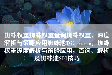蜘蛛权重蜘蛛权重查询蜘蛛权重，深度解析与策略应用蜘蛛池TG：zzcseo，蜘蛛权重深度解析与策略应用，查询、解析及蜘蛛池SEO技巧