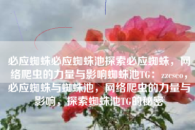 必应蜘蛛必应蜘蛛池探索必应蜘蛛，网络爬虫的力量与影响蜘蛛池TG：zzcseo，必应蜘蛛与蜘蛛池，网络爬虫的力量与影响，探索蜘蛛池TG的秘密