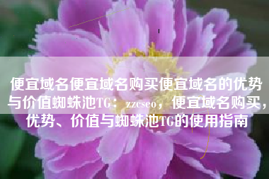 便宜域名便宜域名购买便宜域名的优势与价值蜘蛛池TG：zzcseo，便宜域名购买，优势、价值与蜘蛛池TG的使用指南