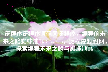 泛程序泛程序源码网泛程序，编程的未来之路蜘蛛池TG：zzcseo，泛程序源码网，探索编程未来之路与蜘蛛池TG