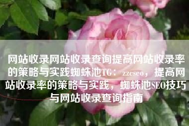 网站收录网站收录查询提高网站收录率的策略与实践蜘蛛池TG：zzcseo，提高网站收录率的策略与实践，蜘蛛池SEO技巧与网站收录查询指南