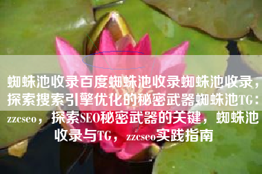 蜘蛛池收录百度蜘蛛池收录蜘蛛池收录，探索搜索引擎优化的秘密武器蜘蛛池TG：zzcseo，探索SEO秘密武器的关键，蜘蛛池收录与TG，zzcseo实践指南