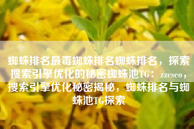 蜘蛛排名最毒蜘蛛排名蜘蛛排名，探索搜索引擎优化的秘密蜘蛛池TG：zzcseo，搜索引擎优化秘密揭秘，蜘蛛排名与蜘蛛池TG探索