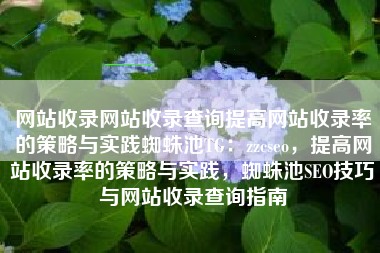 网站收录网站收录查询提高网站收录率的策略与实践蜘蛛池TG：zzcseo，提高网站收录率的策略与实践，蜘蛛池SEO技巧与网站收录查询指南