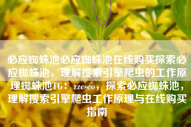 必应蜘蛛池必应蜘蛛池在线购买探索必应蜘蛛池，理解搜索引擎爬虫的工作原理蜘蛛池TG：zzcseo，探索必应蜘蛛池，理解搜索引擎爬虫工作原理与在线购买指南