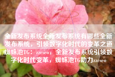 全新发布系统全新发布系统有哪些全新发布系统，引领数字化时代的变革之道蜘蛛池TG：zzcseo，全新发布系统引领数字化时代变革，蜘蛛池TG助力zzcseo