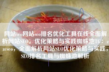 网站seo网站seo排名优化工具在线全面解析网站SEO，优化策略与实践蜘蛛池TG：zzcseo，全面解析网站SEO优化策略与实践，SEO排名工具与蜘蛛池解析