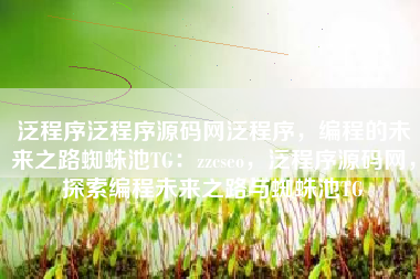 泛程序泛程序源码网泛程序，编程的未来之路蜘蛛池TG：zzcseo，泛程序源码网，探索编程未来之路与蜘蛛池TG
