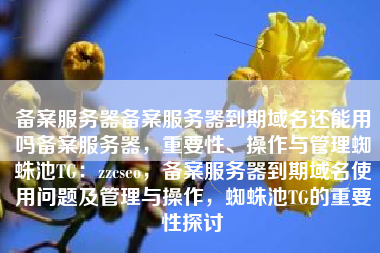 备案服务器备案服务器到期域名还能用吗备案服务器，重要性、操作与管理蜘蛛池TG：zzcseo，备案服务器到期域名使用问题及管理与操作，蜘蛛池TG的重要性探讨