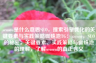 seoseo是什么意思SEO，搜索引擎优化的关键要素与实践策略蜘蛛池TG：zzcseo，SEO的秘密，关键要素、实践策略与蜘蛛池的理解，了解seoseo的真正含义