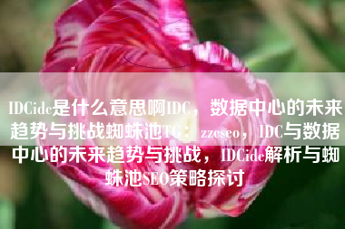 IDCidc是什么意思啊IDC，数据中心的未来趋势与挑战蜘蛛池TG：zzcseo，IDC与数据中心的未来趋势与挑战，IDCidc解析与蜘蛛池SEO策略探讨