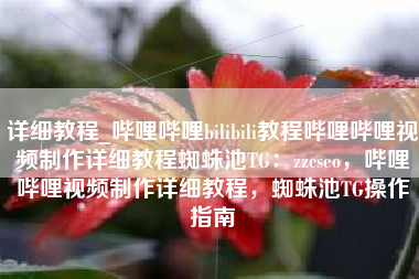 详细教程_哔哩哔哩bilibili教程哔哩哔哩视频制作详细教程蜘蛛池TG：zzcseo，哔哩哔哩视频制作详细教程，蜘蛛池TG操作指南