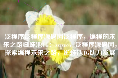 泛程序泛程序源码网泛程序，编程的未来之路蜘蛛池TG：zzcseo，泛程序源码网，探索编程未来之路，蜘蛛池TG助力发展