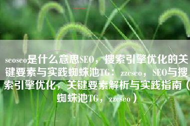 seoseo是什么意思SEO，搜索引擎优化的关键要素与实践蜘蛛池TG：zzcseo，SEO与搜索引擎优化，关键要素解析与实践指南（蜘蛛池TG，zzcseo）