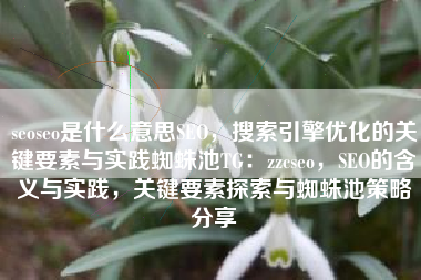 seoseo是什么意思SEO，搜索引擎优化的关键要素与实践蜘蛛池TG：zzcseo，SEO的含义与实践，关键要素探索与蜘蛛池策略分享