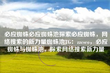 必应蜘蛛必应蜘蛛池探索必应蜘蛛，网络搜索的新力量蜘蛛池TG：zzcseo，必应蜘蛛与蜘蛛池，探索网络搜索新力量