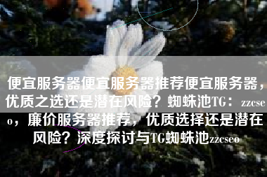 便宜服务器便宜服务器推荐便宜服务器，优质之选还是潜在风险？蜘蛛池TG：zzcseo，廉价服务器推荐，优质选择还是潜在风险？深度探讨与TG蜘蛛池zzcseo