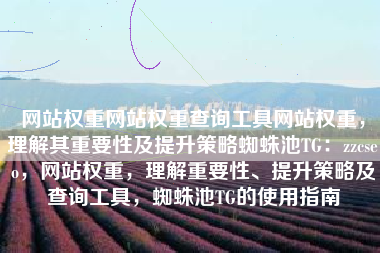网站权重网站权重查询工具网站权重，理解其重要性及提升策略蜘蛛池TG：zzcseo，网站权重，理解重要性、提升策略及查询工具，蜘蛛池TG的使用指南