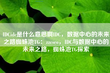 IDCidc是什么意思啊IDC，数据中心的未来之路蜘蛛池TG：zzcseo，IDC与数据中心的未来之路，蜘蛛池TG探索