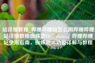 站详细教程_哔哩哔哩站怎么用哔哩哔哩站详细教程蜘蛛池TG：zzcseo，哔哩哔哩站使用指南，蜘蛛池TG功能详解与教程