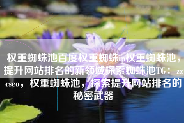 权重蜘蛛池百度权重蜘蛛ip权重蜘蛛池，提升网站排名的新领域探索蜘蛛池TG：zzcseo，权重蜘蛛池，探索提升网站排名的秘密武器