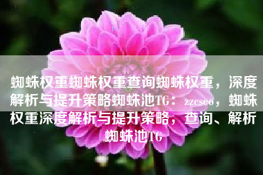 蜘蛛权重蜘蛛权重查询蜘蛛权重，深度解析与提升策略蜘蛛池TG：zzcseo，蜘蛛权重深度解析与提升策略，查询、解析蜘蛛池TG