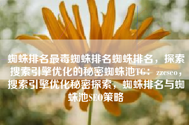 蜘蛛排名最毒蜘蛛排名蜘蛛排名，探索搜索引擎优化的秘密蜘蛛池TG：zzcseo，搜索引擎优化秘密探索，蜘蛛排名与蜘蛛池SEO策略